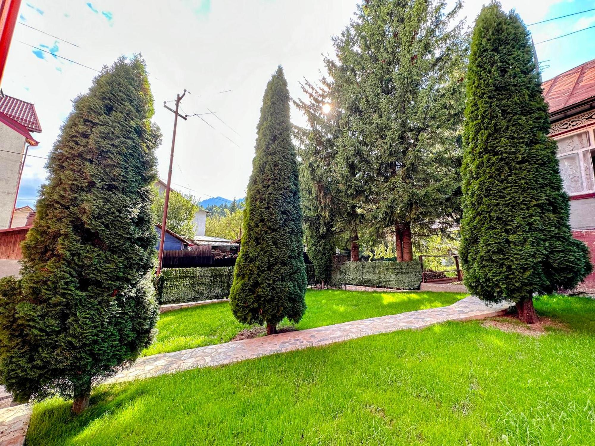 Valea Alba View - Self Check-In Hotel Busteni Luaran gambar