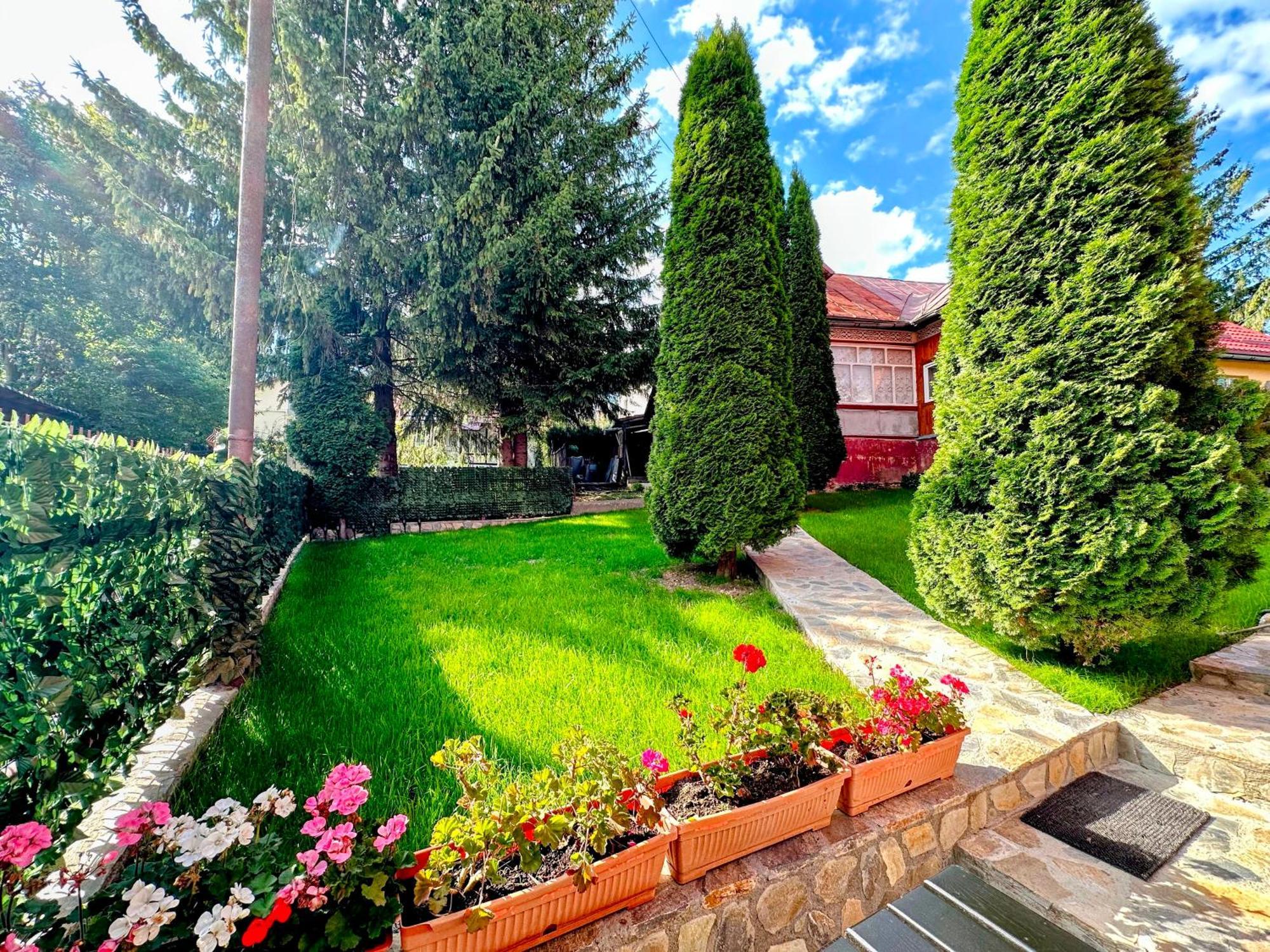 Valea Alba View - Self Check-In Hotel Busteni Luaran gambar