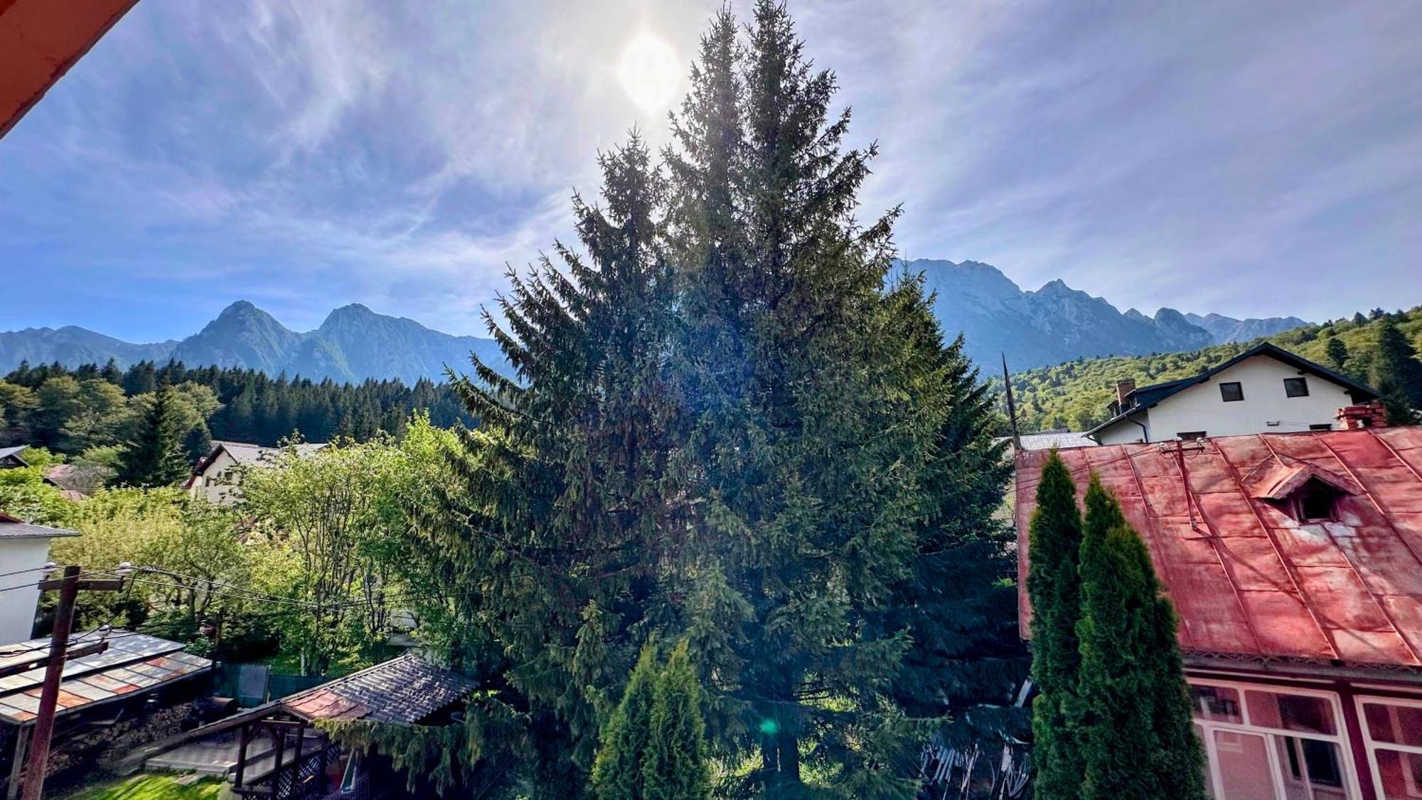 Valea Alba View - Self Check-In Hotel Busteni Luaran gambar